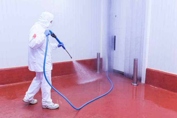 Best Graffiti Removal  in Wesley Chapel, NC
